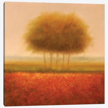 Orange Group Of Trees Canvas Print #DOL5} by Hans Dolieslager Canvas Art