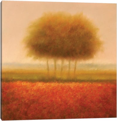 Orange Group Of Trees Canvas Art Print