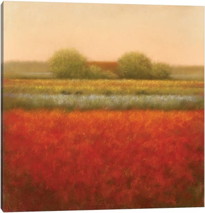 Red Field Canvas Art Print - Field, Grassland & Meadow Art