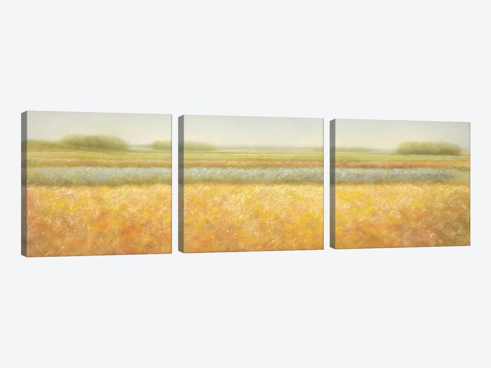 View by Hans Dolieslager 3-piece Canvas Wall Art
