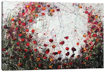 Poppies In Love II Canvas Art Print - Donatella Marraoni