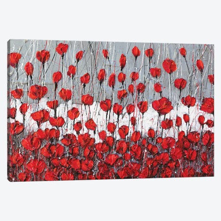 Poppies Landscape Canvas Print #DOM124} by Donatella Marraoni Canvas Print