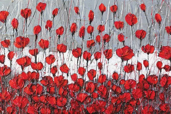 Color Fields: Poppies Landscape by Donatella Marraoni