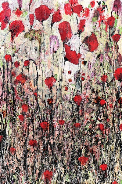 Settembre by Donatella Marraoni canvas print