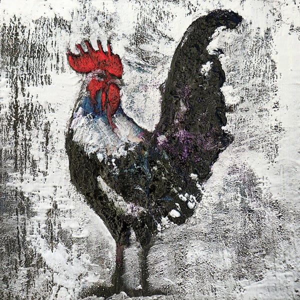 Chickens & Roosters: Gallo II by Donatella Marraoni