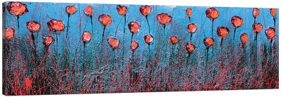 Blu And Poppies Canvas Art Print - Donatella Marraoni