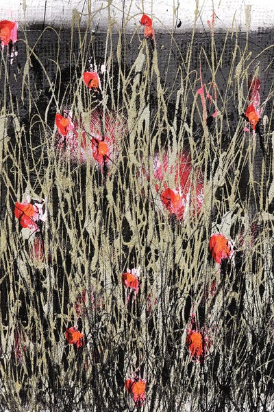 Donatella Marraoni: Fields And Feelings by Donatella Marraoni