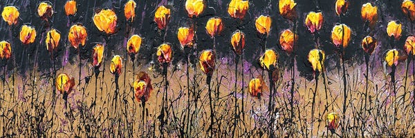 Wildflowers: Yellow.... by Donatella Marraoni