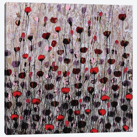 Poppies And Gold V Canvas Print #DOM205} by Donatella Marraoni Canvas Wall Art
