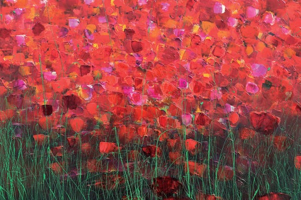 Donatella Marraoni: Flowers In Red by Donatella Marraoni