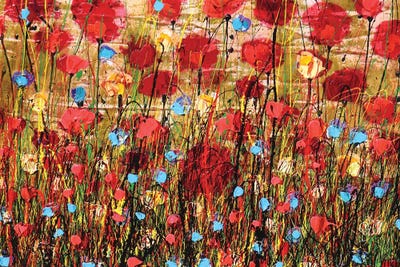 Ribelli by Donatella Marraoni canvas print