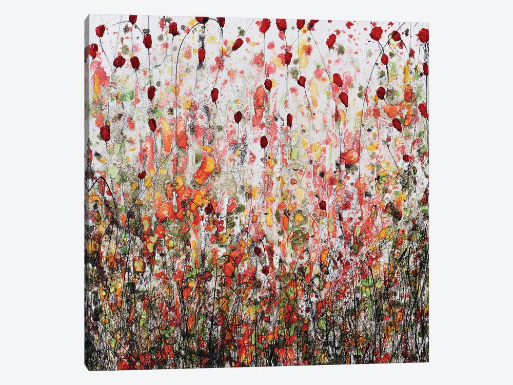 Push The Little Daisies...And Find Poppies by Donatella Marraoni 1-piece Canvas Art