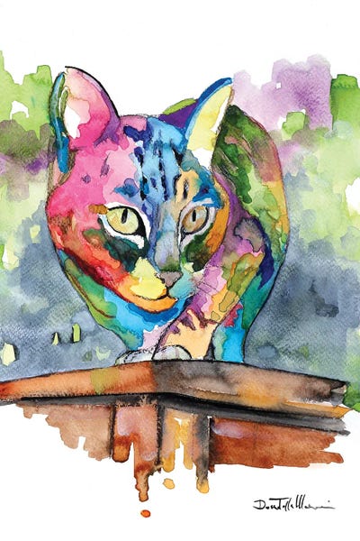 Molto Più Di Un Gatto by Donatella Marraoni canvas print