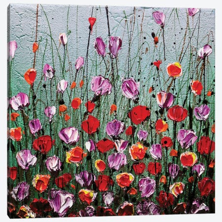 Spring II Canvas Print #DOM238} by Donatella Marraoni Canvas Wall Art