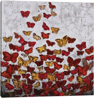Farfalle...Di Cemento Canvas Art Print - Donatella Marraoni
