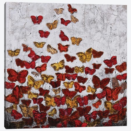 Farfalle...Di Cemento Canvas Print #DOM256} by Donatella Marraoni Canvas Print