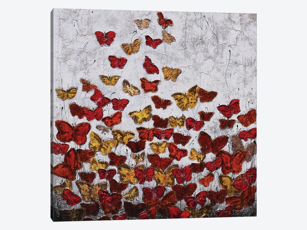Farfalle...Di Cemento by Donatella Marraoni 1-piece Canvas Art