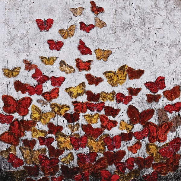 Farfalle...Di Cemento
