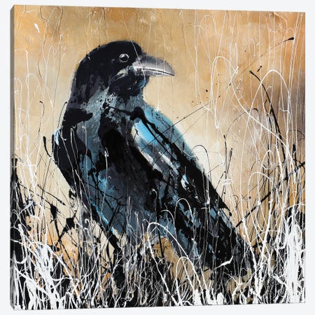 The Crow Canvas Print #DOM268} by Donatella Marraoni Canvas Art Print
