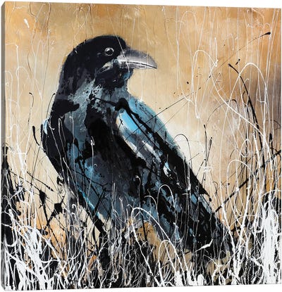The Crow Canvas Art Print - Crow Art