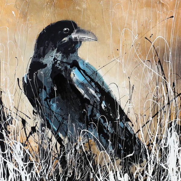 Donatella Marraoni: The Crow by Donatella Marraoni