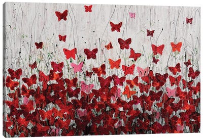Lovely Butterfly Canvas Art Print - Donatella Marraoni