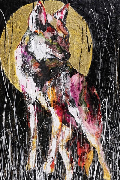 Dillo Alla Luna by Donatella Marraoni framed wall art