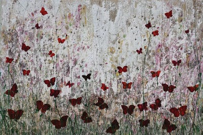 Show Me How To Fly by Donatella Marraoni framed wall art