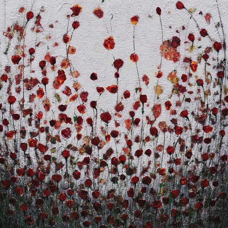 Something Like This II by Donatella Marraoni wall art