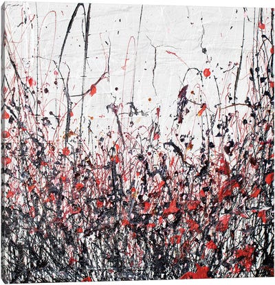 Abtract Poppies In Red Canvas Art Print - Donatella Marraoni