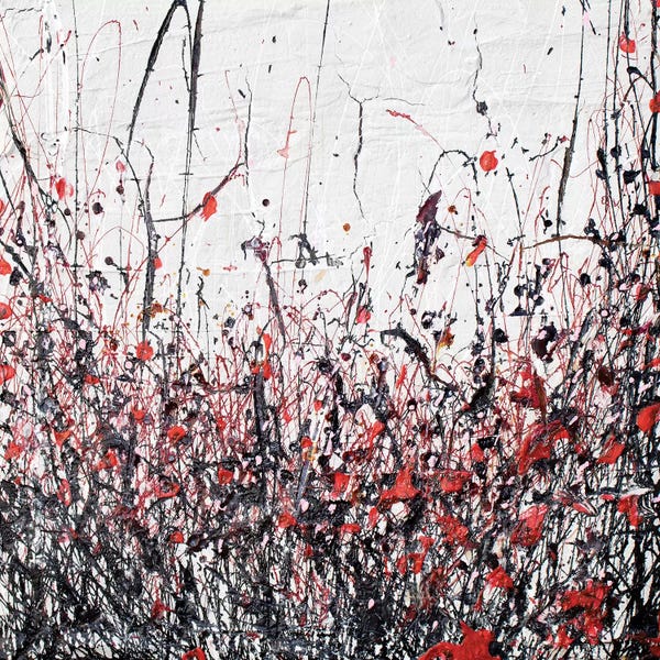 Black & White & Red: Abtract Poppies In Red by Donatella Marraoni