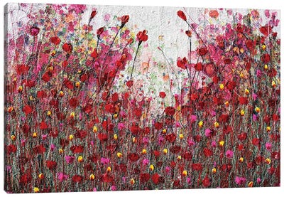 Poppies And Friends V Canvas Art Print - Donatella Marraoni