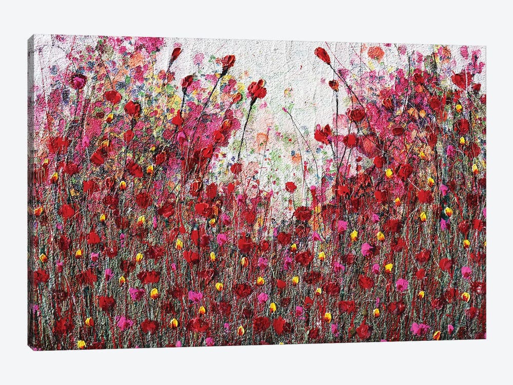 Poppies And Friends V by Donatella Marraoni 1-piece Canvas Art