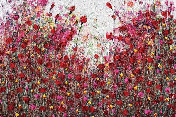 Donatella Marraoni: Poppies And Friends V by Donatella Marraoni