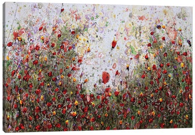 Poppies And Friends IX Canvas Art Print - Donatella Marraoni