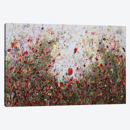Poppies And Friends IX Canvas Print #DOM307} by Donatella Marraoni Canvas Art Print