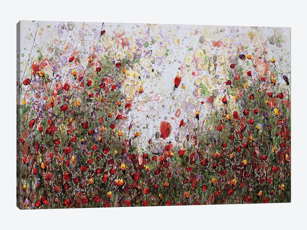 Poppies And Friends IX by Donatella Marraoni 1-piece Canvas Print