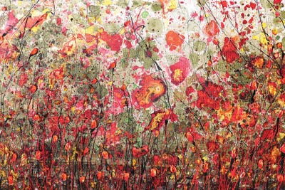 Poppies And Friends VIII by Donatella Marraoni canvas print