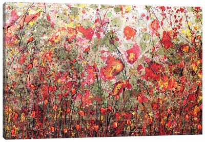 Poppies And Friends VIII Canvas Art Print - Donatella Marraoni