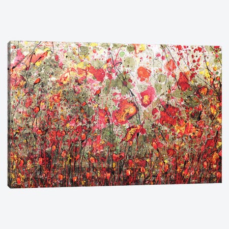 Poppies And Friends VIII Canvas Print #DOM308} by Donatella Marraoni Canvas Artwork