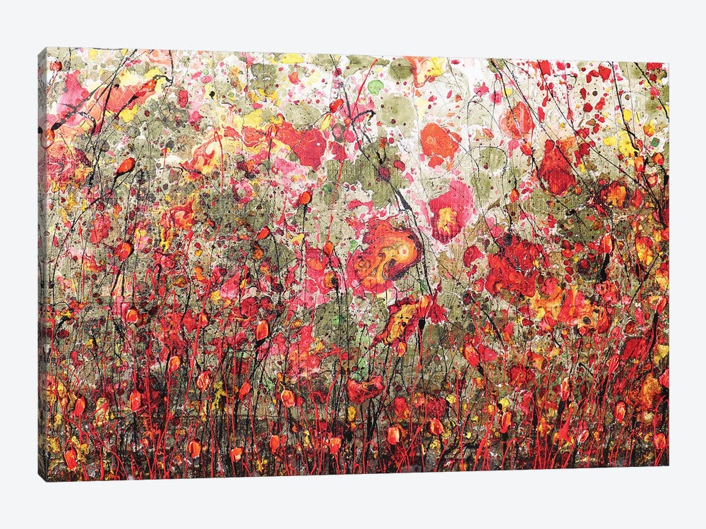 Poppies And Friends VIII by Donatella Marraoni 1-piece Canvas Wall Art