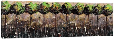 Landscape In Green Canvas Art Print - Donatella Marraoni