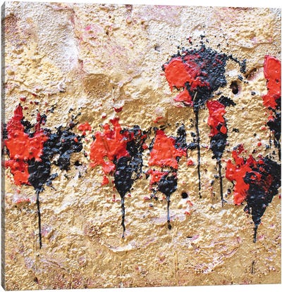 Poppies - Frammenti II Canvas Art Print - Donatella Marraoni