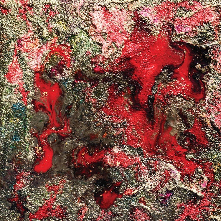 Poppies Gold And Sand by Donatella Marraoni wall art