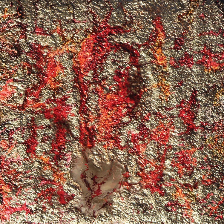Poppies Red Sand by Donatella Marraoni wall art