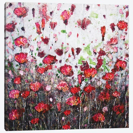 Poppies & Joy Canvas Print #DOM34} by Donatella Marraoni Canvas Artwork