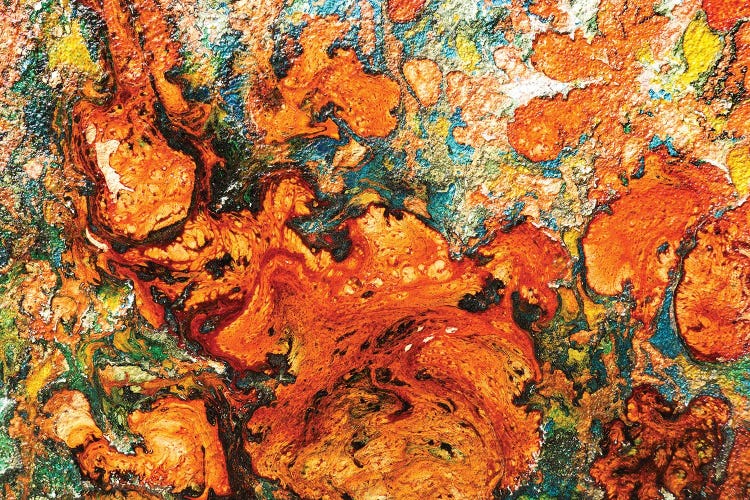 Orange by Donatella Marraoni wall art