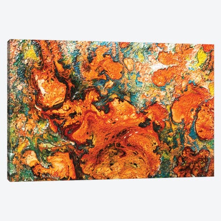 Orange Canvas Print #DOM351} by Donatella Marraoni Canvas Print