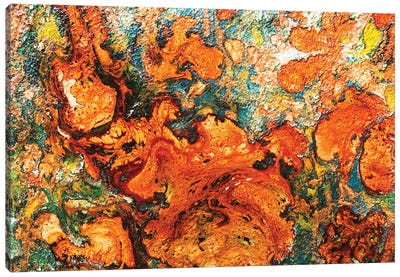 Orange Canvas Art Print - Donatella Marraoni