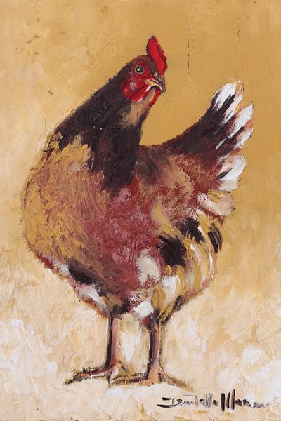 Carolina by Donatella Marraoni canvas print